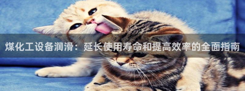 门徒平台还能用么