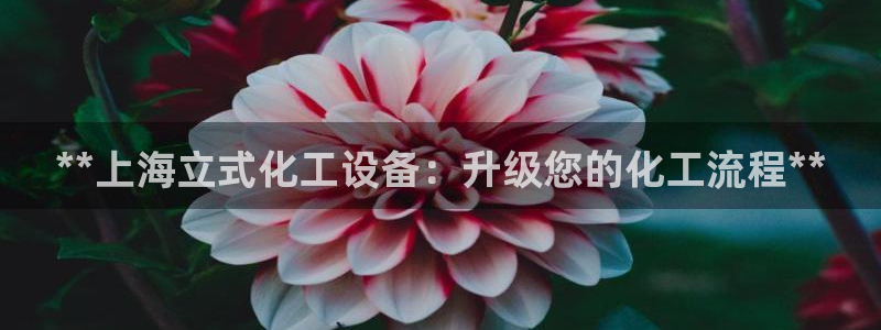门徒平台登录