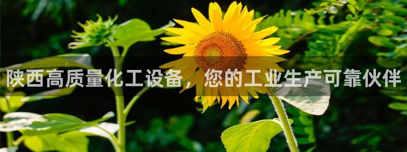 门徒平台注册登陆失败