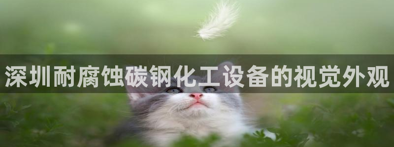 门徒平台测速网址是多少