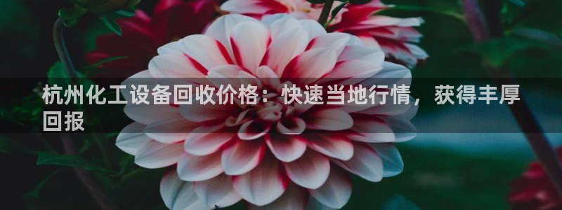 门徒平台开户流程是什么