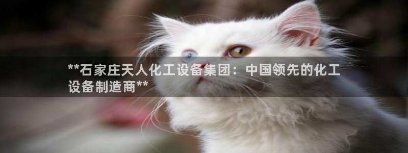 门徒娱乐成功案例分享