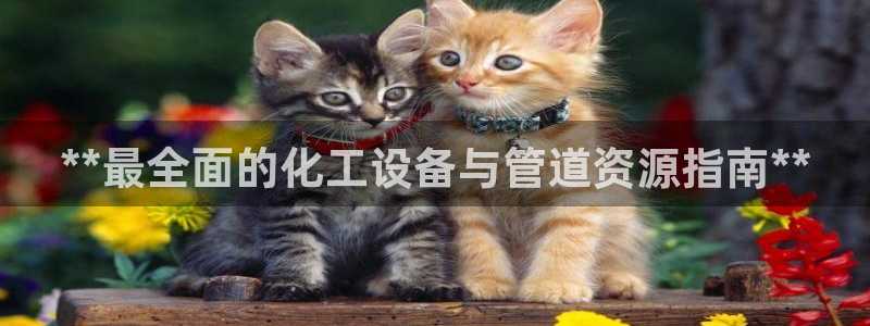 门徒平台娱乐招商