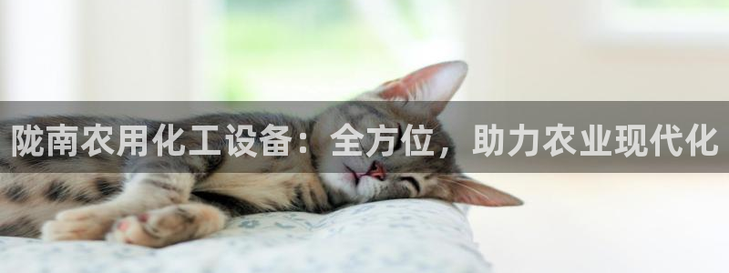 门徒平台注册登陆失败怎么办