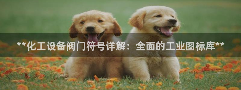 门徒娱乐官网