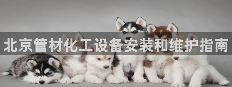 门徒平台娱乐招商
