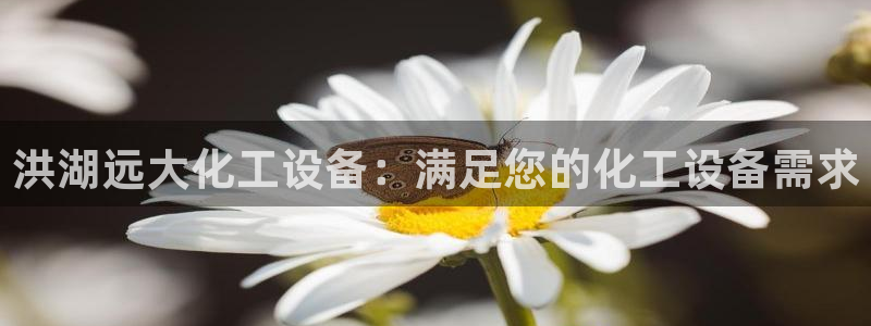 门徒平台集团官网下载