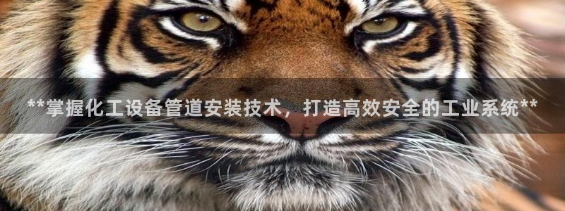 门徒平台注册中心官网