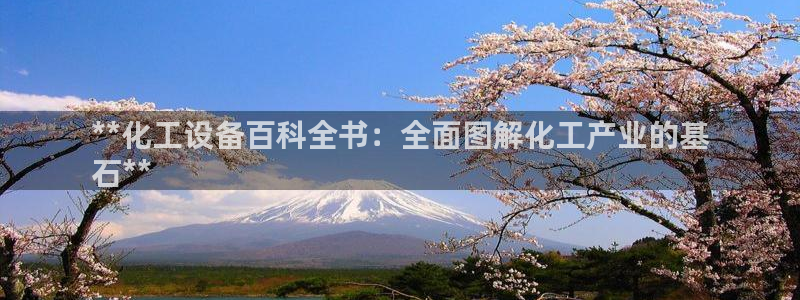 门徒平台怎么样