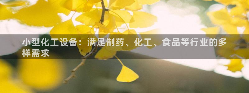 门徒娱乐是正规公司吗