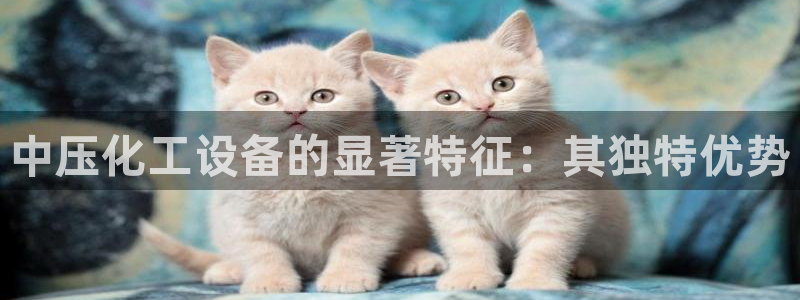 门徒平台注册登陆失败