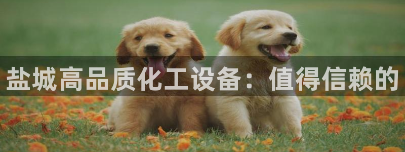 门徒平台官网注册入口
