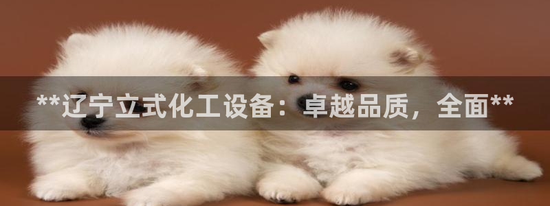 门徒娱乐有没有工资：**辽宁立式化工设备：卓越品质