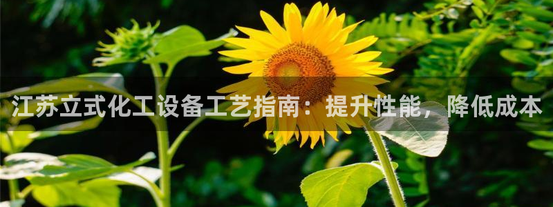 门徒平台地址