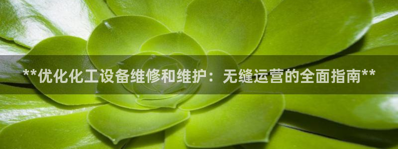 门徒娱乐创始人简介是谁