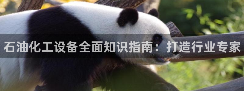 门徒平台是什么