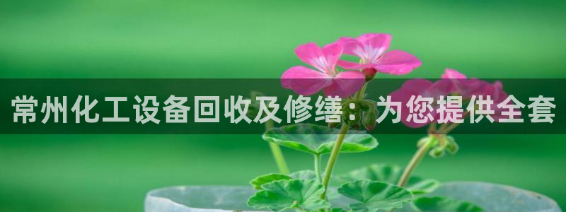 门徒娱乐属于什么系列