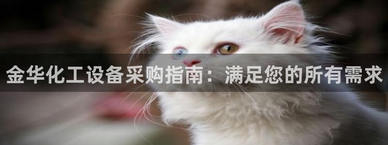 门徒娱乐企业简介