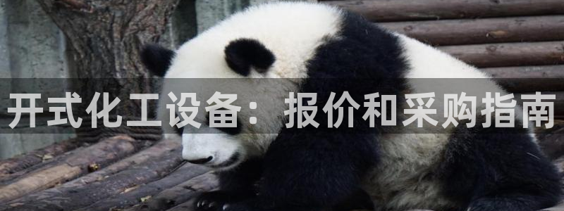 门徒娱乐的员工福利福利与价值