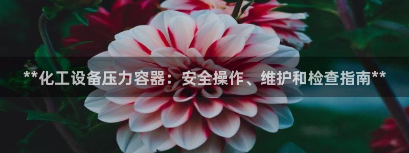 门徒平台徽信搜推客娃娃