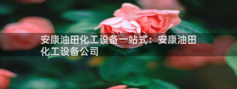 门徒平台李 5O6917 平台