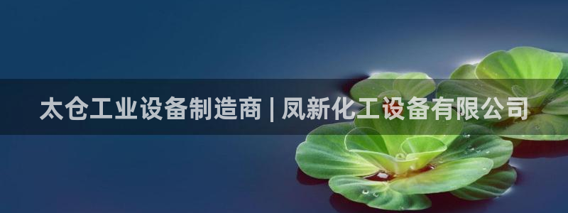 门徒娱乐创始人简介资料