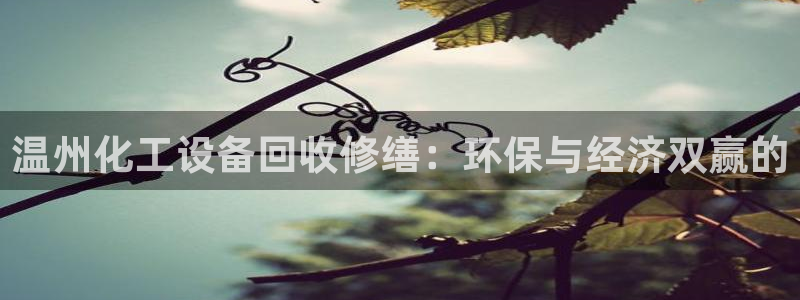 门徒娱乐创始人简介