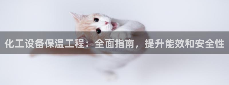 门徒平台是什么