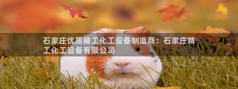 门徒平台开户流程怎么写
