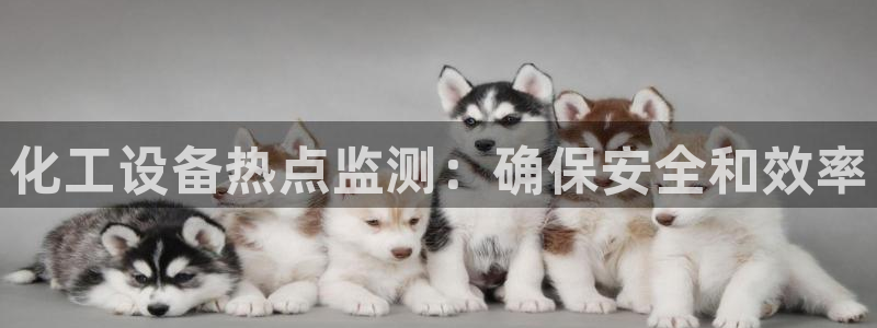 门徒平台还能用么