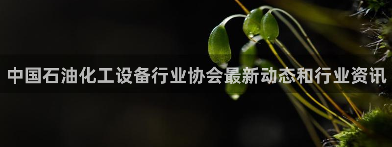 门徒平台开户要求有哪些