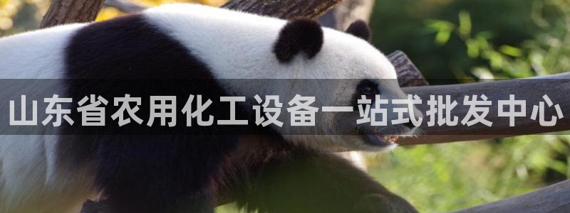 门徒娱乐平台登录1990：山东省农用化工设备一站式