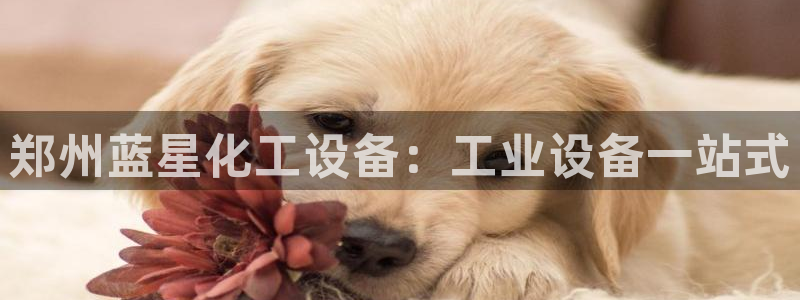 门徒娱乐注册下载安装