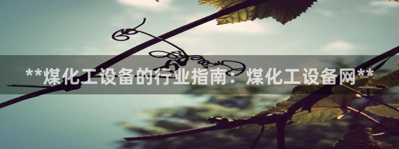 门徒平台链接