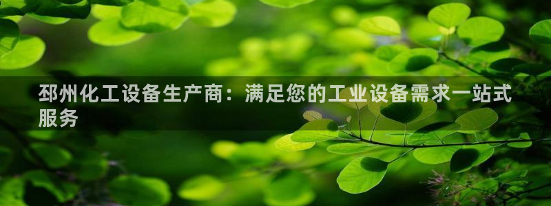 门徒娱乐的客服服务：邳州化工设备生产商：满足您的工