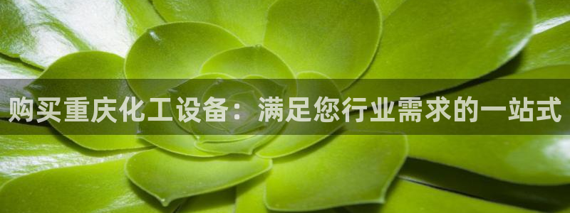 门徒娱乐app代理加盟多少钱：购买重庆化工设备：满足您行业需