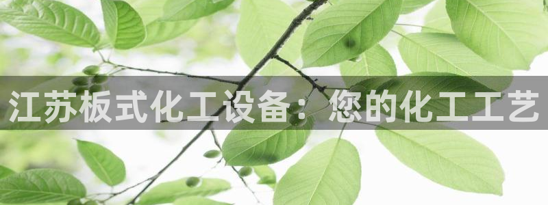 门徒平台登录注册账号