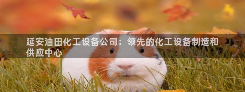 门徒平台设7O777