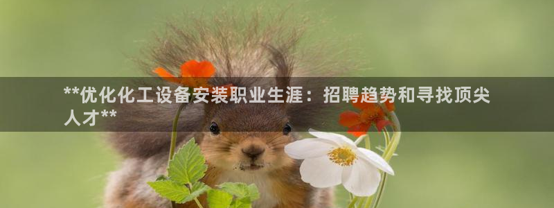 门徒娱乐是什么：**优化化工设备安装职业生涯：招聘