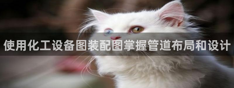 门徒平台集团官网