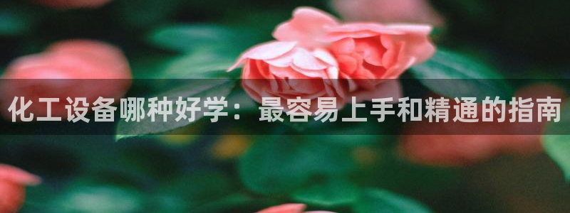 门徒平台推 58534I 平台：化工设备哪种好学：