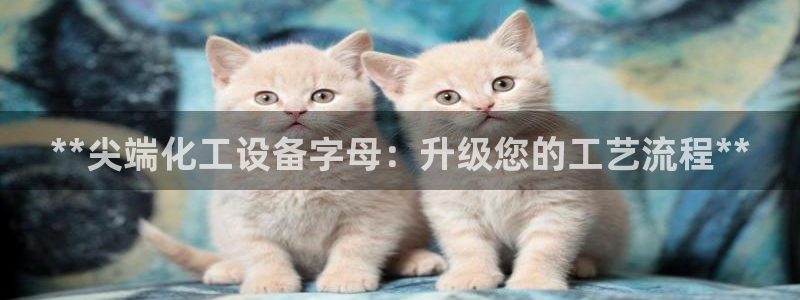 门徒平台开户流程