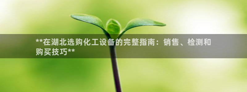 门徒平台主管代理：**在湖北选购化工设备的完整指南：销售、检