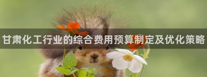 门徒平台官网首页