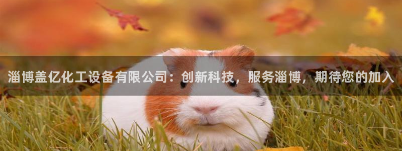 门徒娱乐负责人