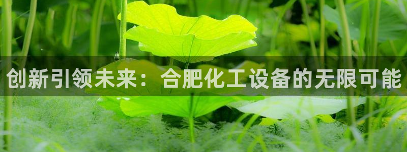 门徒平台服务站：创新引领未来：合肥化工设备的无限可