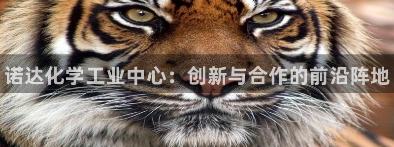 门徒平台注册登陆失败怎么回事