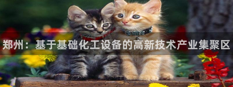 门徒娱乐控制器：郑州：基于基础化工设备的高新技术产