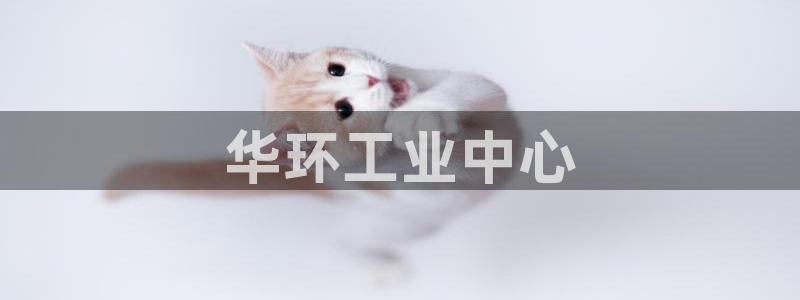 门徒娱乐官网：华环工业中心