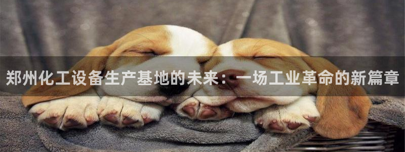 门徒娱乐注册登录地址怎么填：郑州化工设备生产基地的未来：一场